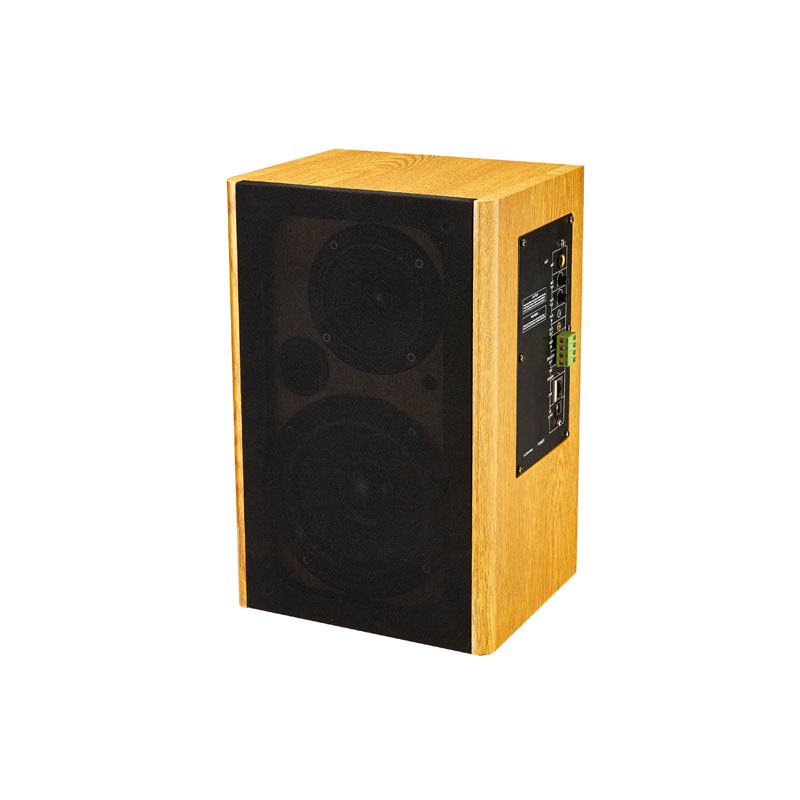 IP網(wǎng)絡(luò)監(jiān)聽音箱